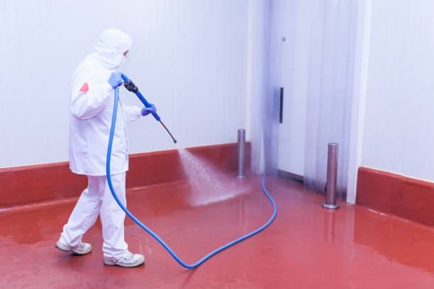 Best Restaurant Pressure Washing  in South Whittier, CA