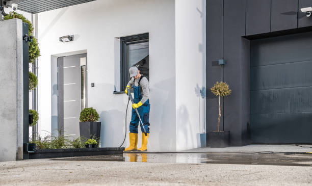 Best Graffiti Removal  in South Whittier, CA